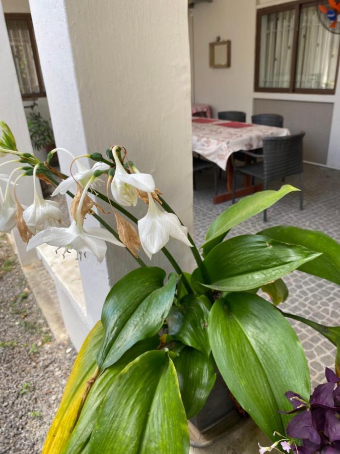 Gardenia Apartments Pereybere Beach Luaran gambar