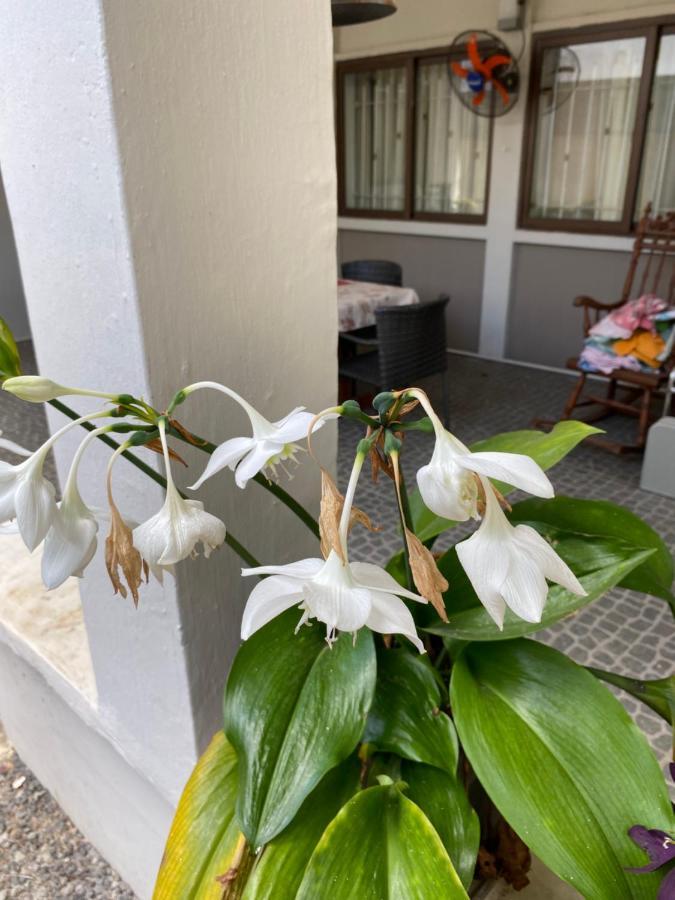 Gardenia Apartments Pereybere Beach Luaran gambar